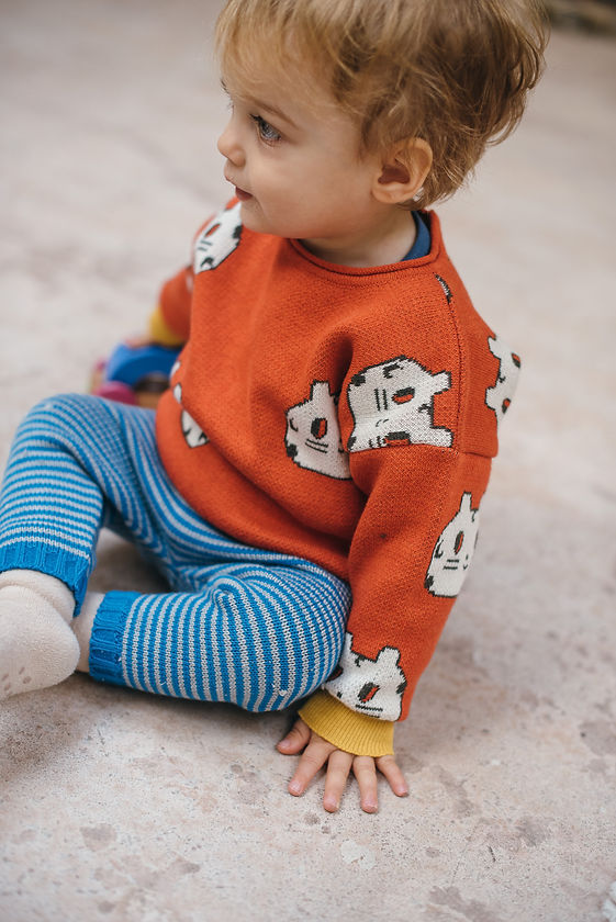 Red Jaguar Sweater