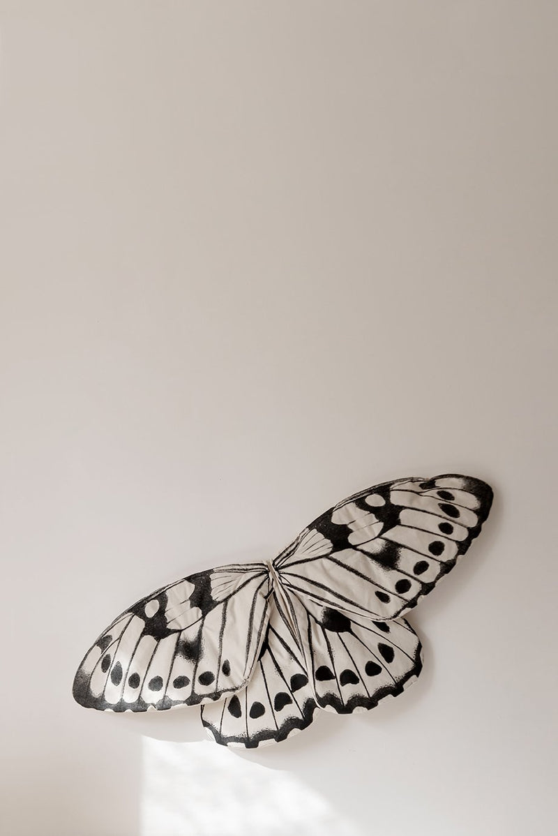 Butterfly Wings