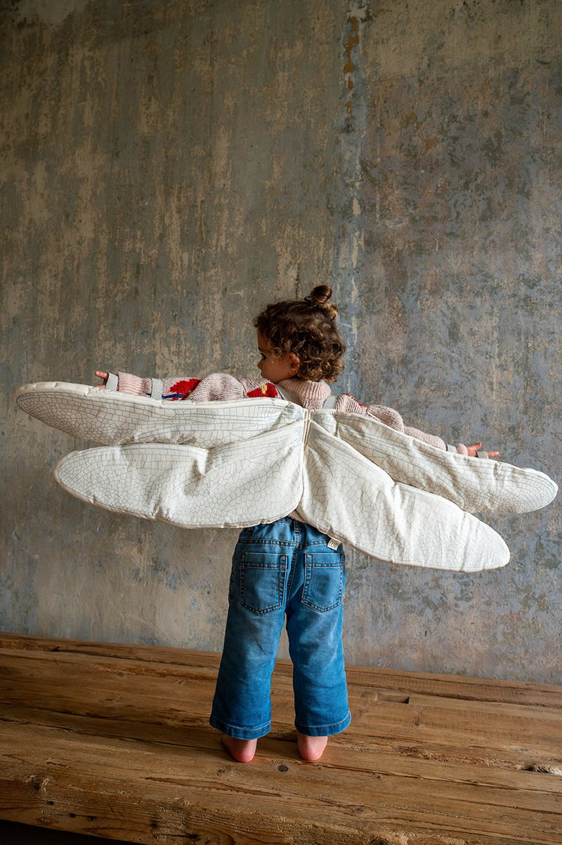 Dragonfly Wings