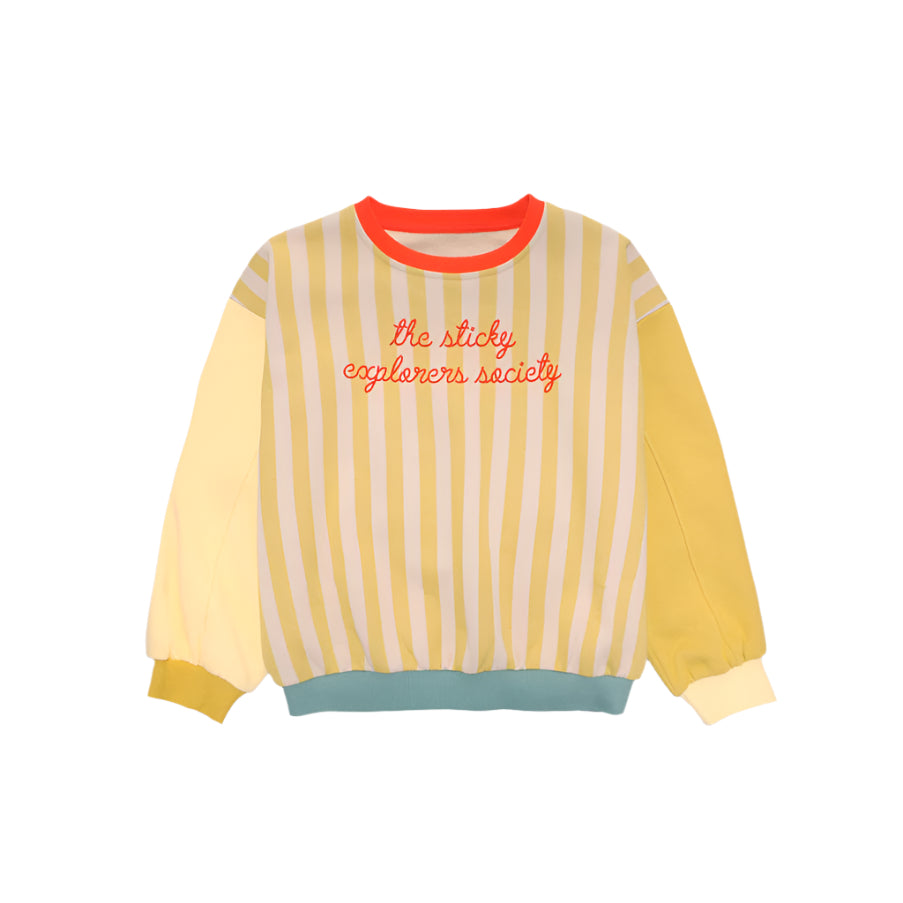 Sweater | reed green + sandy yellow stripes | wonders of the deep sea
