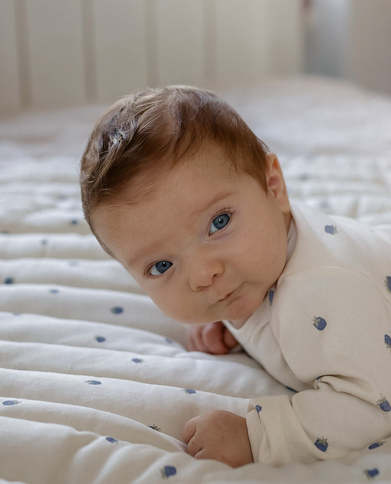 Blueberries Quilted Organic Blanket