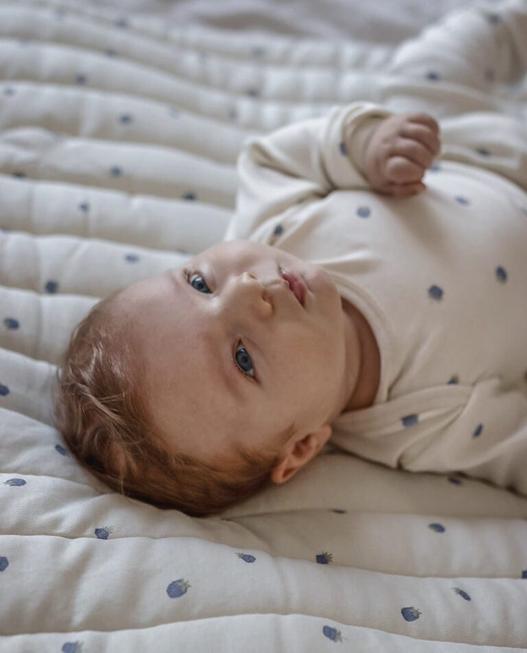 Blueberries Quilted Organic Blanket