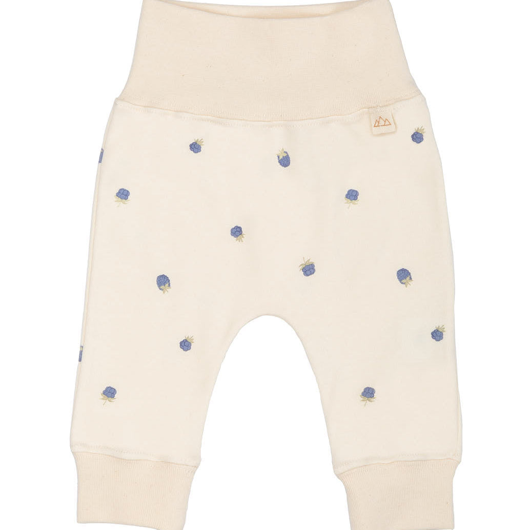 Organic Legging Blueberries