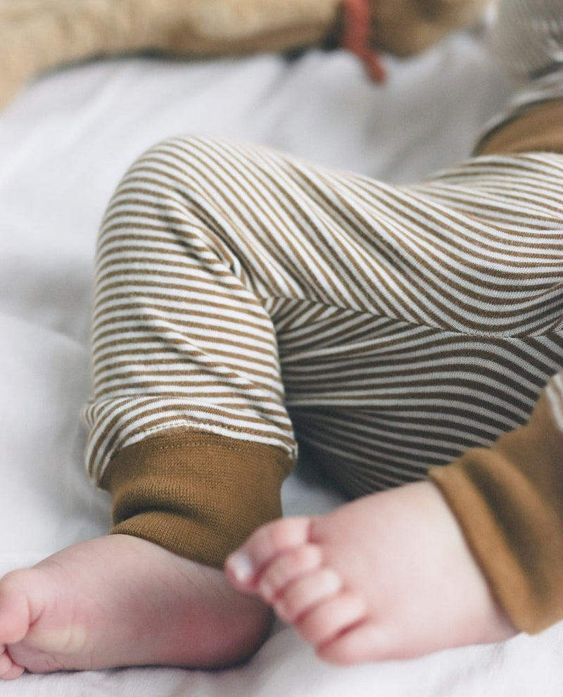 Organic Legging Toffee