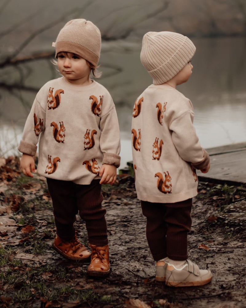 Squirrel knit | Πουλόβερ