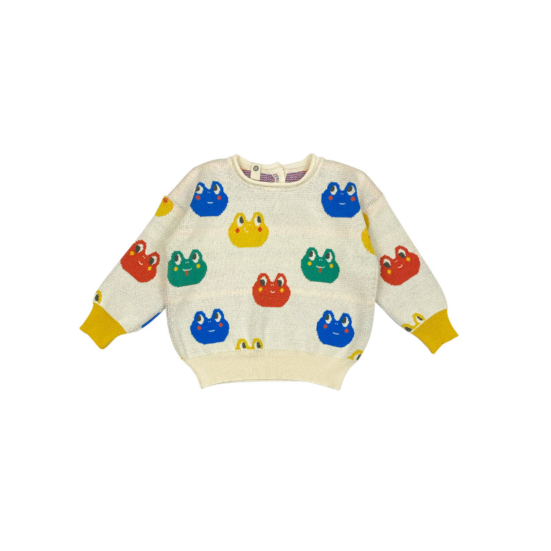 Rainbow Frogs Sweater