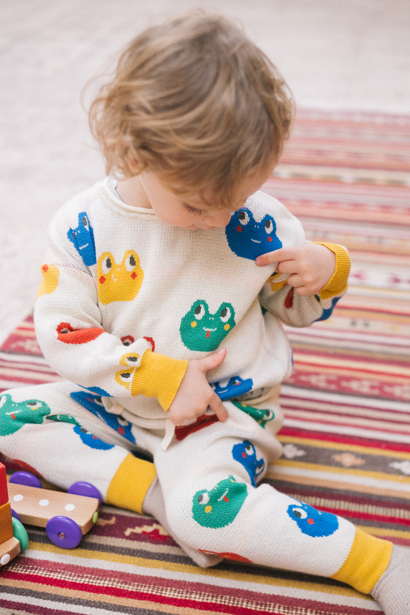 Rainbow Frogs Sweater