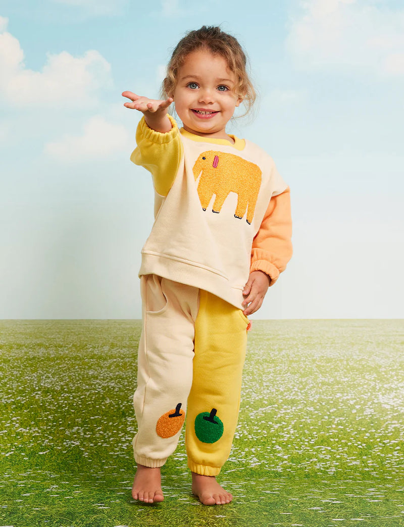 Fun Jogger Biscuit