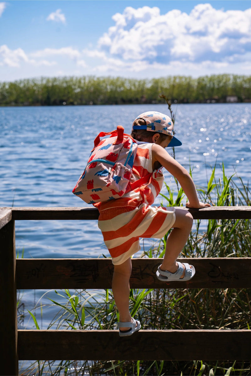 Moewtiful cats RPET backpack