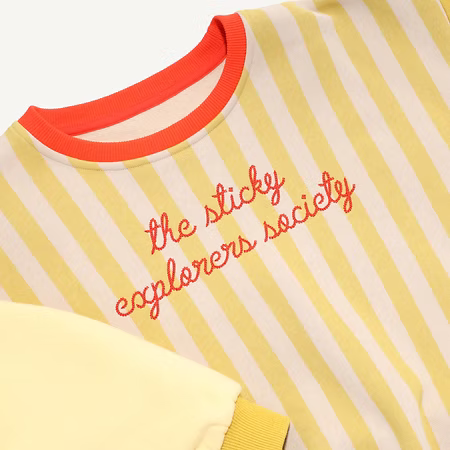 Sweater | reed green + sandy yellow stripes | wonders of the deep sea