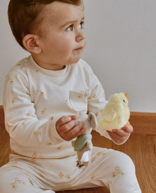 Duckling Organic Long Sleeve | Μπλουζάκι