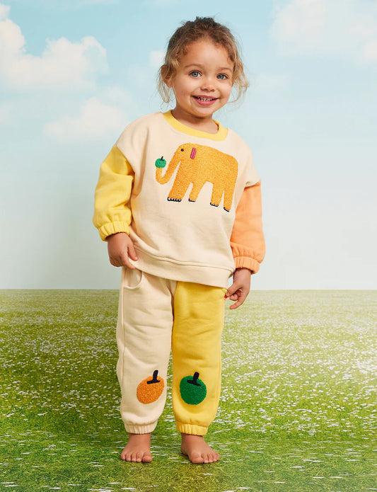 Fun Jogger Biscuit